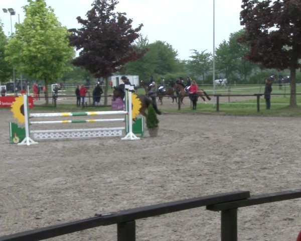 Reitturnier Ahlen 2019