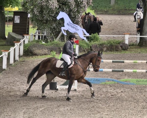 Turniej Jeździecki Eppelheim 2019