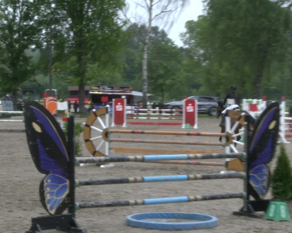 Reitturnier Ahlen 2019