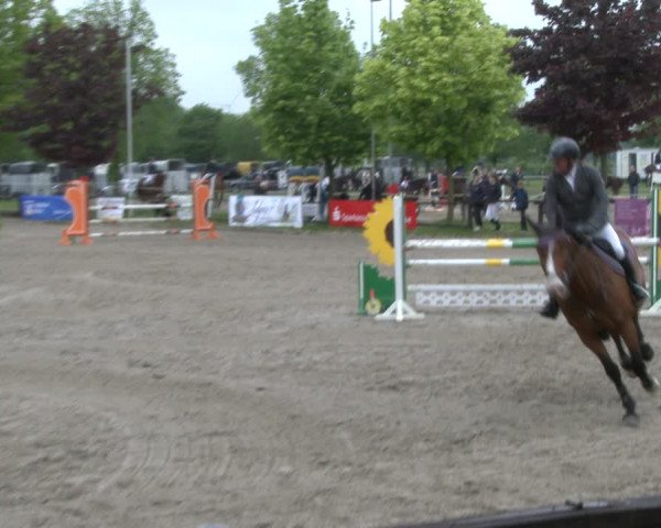 Reitturnier Ahlen 2019