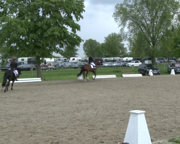 Reitturnier Ahlen 2019