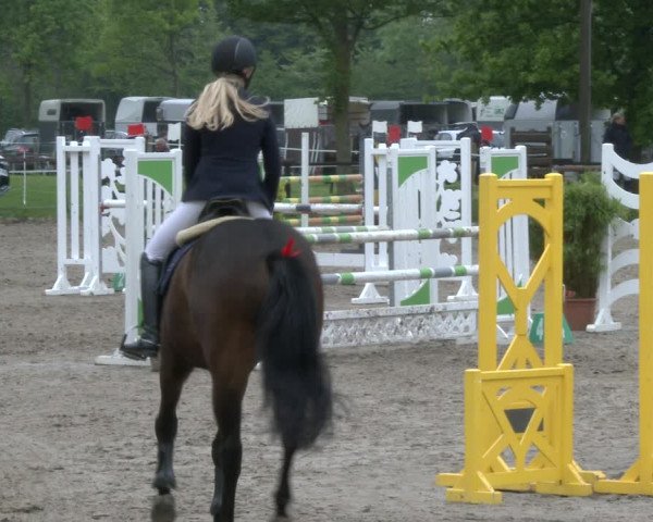 Reitturnier Ahlen 2019