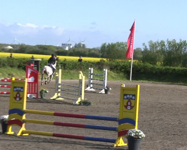 Reitturnier Risum-Lindholm 2019
