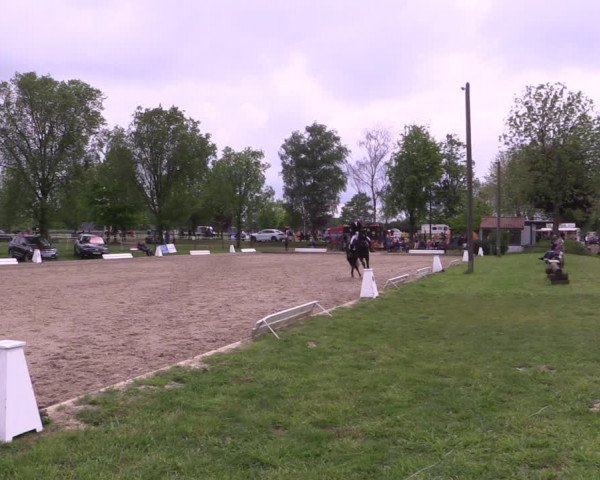 Reitturnier Ahlen 2019