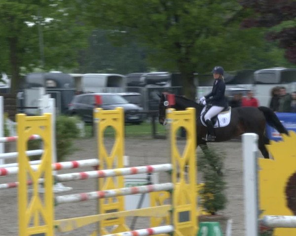 Reitturnier Ahlen 2019