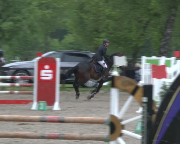 Reitturnier Ahlen 2019