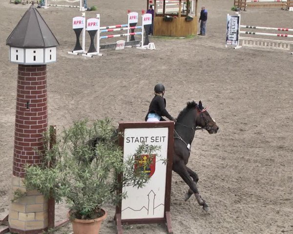 Reitturnier Eppelheim 2019