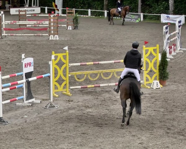 Reitturnier Eppelheim 2019