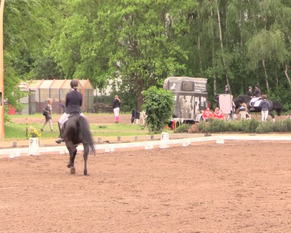 Reitturnier Dallgow 2019