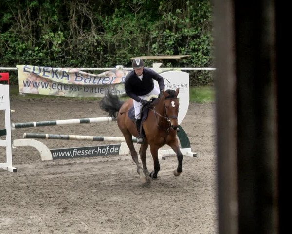 Reitturnier Eppelheim 2019