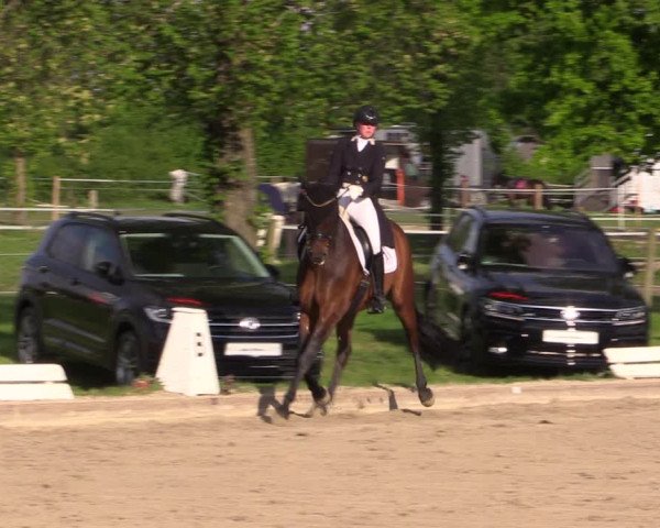 Reitturnier Ahlen 2019