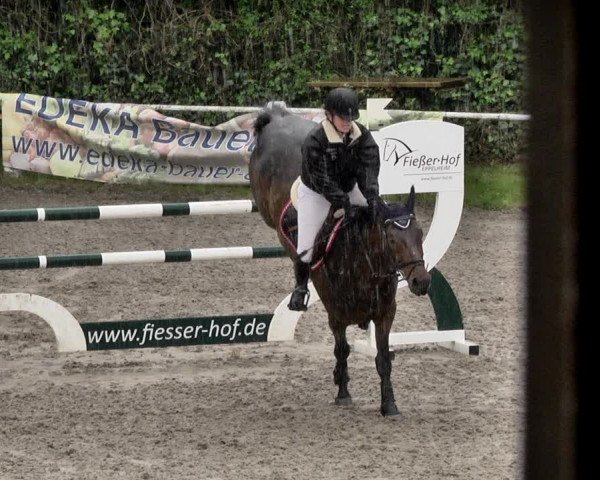 Reitturnier Eppelheim 2019