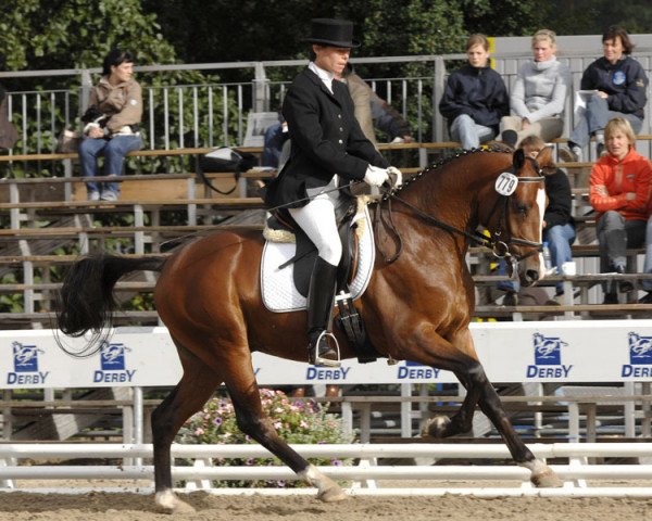 Dressurpferd Gambys Hanneken WE (Deutsches Reitpferd, 2009, von FS Don't Worry) Dressurpferd Gambys Hanneken WE (Deutsches Reitpferd, 2009, von FS Don't Worry)
