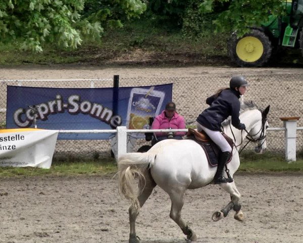 Reitturnier Eppelheim 2019