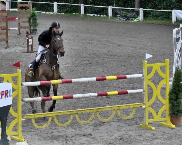 Reitturnier Eppelheim 2019
