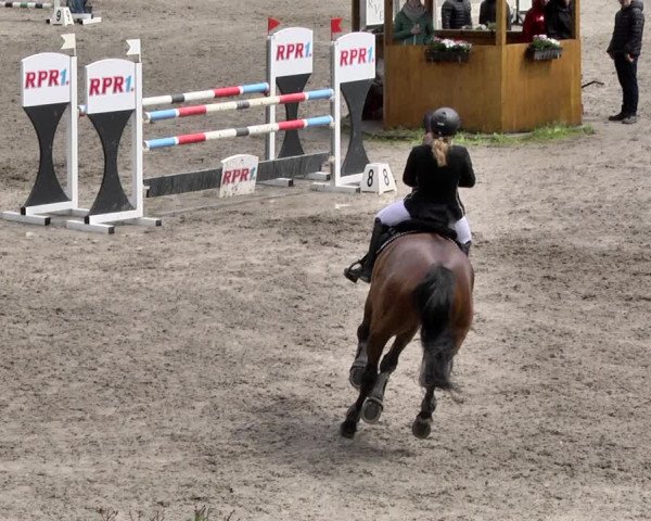 Reitturnier Eppelheim 2019