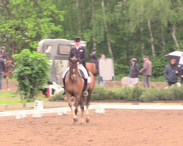 Reitturnier Dallgow 2019