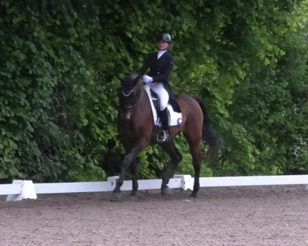 Reitturnier Eppelheim 2019