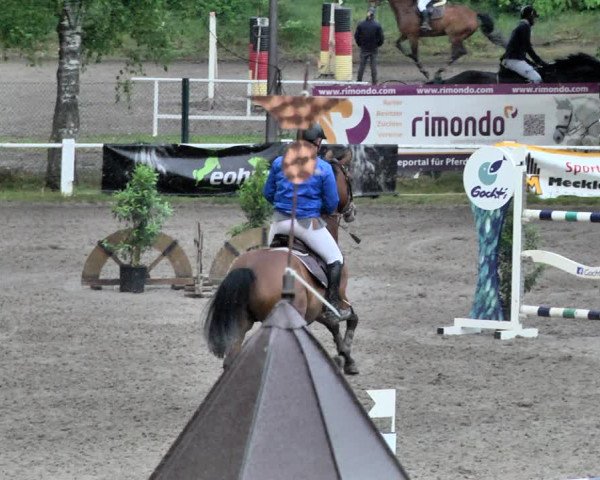 Reitturnier Eppelheim 2019