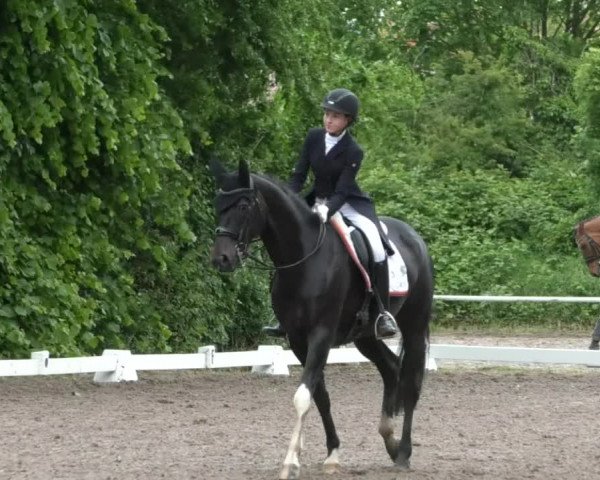 Reitturnier Eppelheim 2019