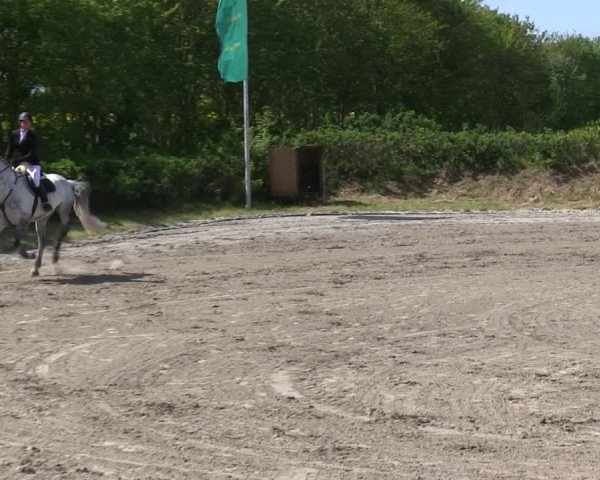 Reitturnier Risum-Lindholm 2019