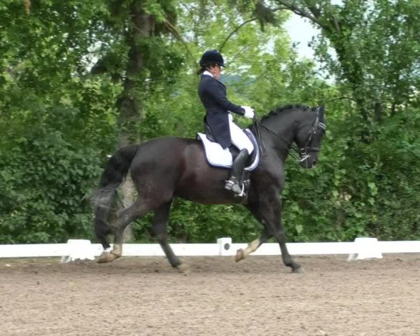 Reitturnier Eppelheim 2019