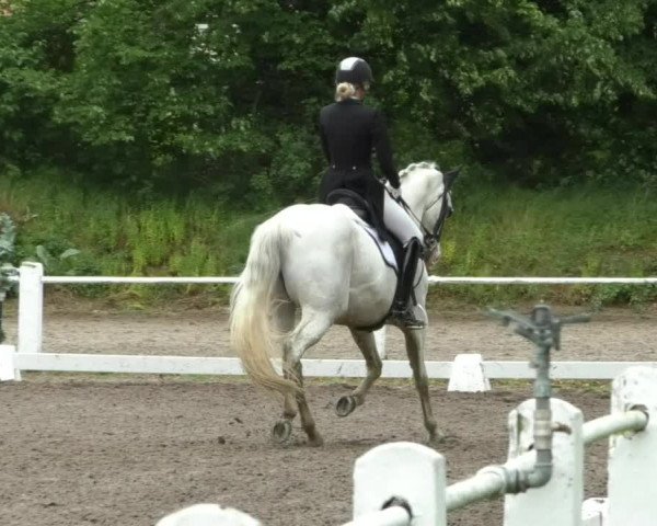 Reitturnier Eppelheim 2019