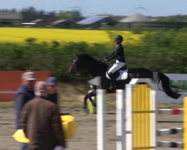 Reitturnier Risum-Lindholm 2019