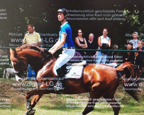 broodmare Nice to be a Lady (German Warmblood, 2005, from Nariston)