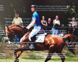 Zuchtstute Nice to be a Lady (Deutsches Reitpferd, 2005, von Nariston)