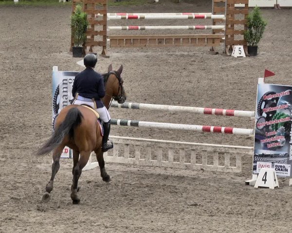 Reitturnier Eppelheim 2019
