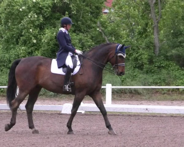 Reitturnier Eppelheim 2019
