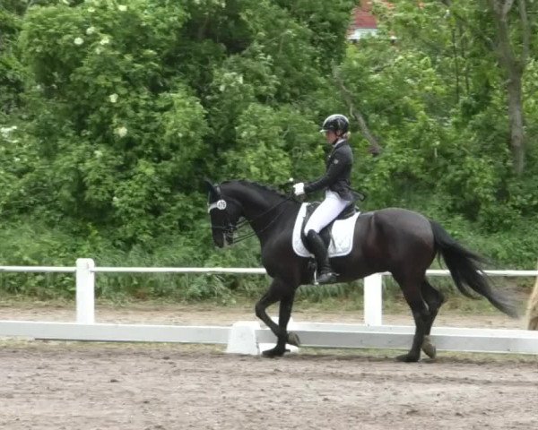 Reitturnier Eppelheim 2019