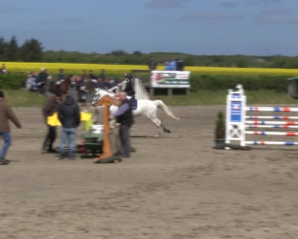 Reitturnier Risum-Lindholm 2019