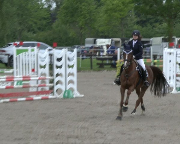 Reitturnier Ahlen 2019