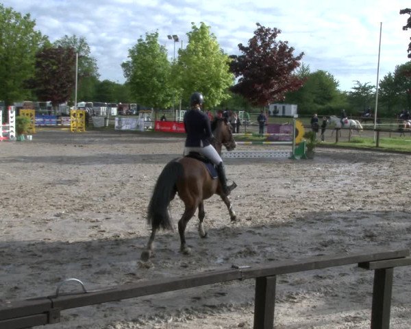 Reitturnier Ahlen 2019