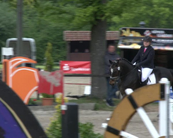 Reitturnier Ahlen 2019