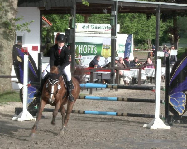 Reitturnier Ahlen 2019