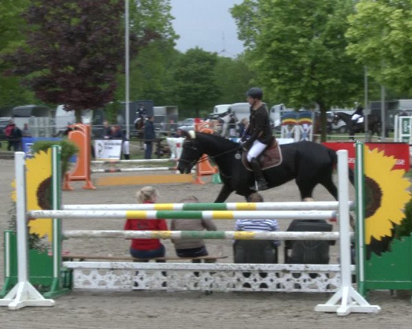 Reitturnier Ahlen 2019