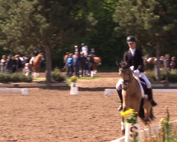 Reitturnier Dallgow 2019