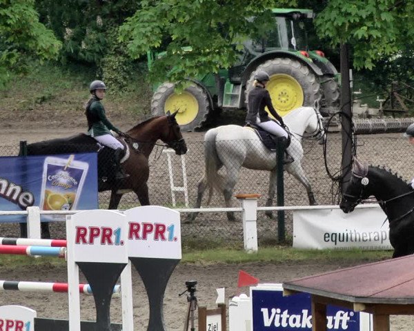 Reitturnier Eppelheim 2019