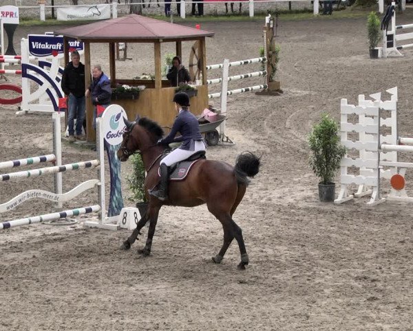 Reitturnier Eppelheim 2019
