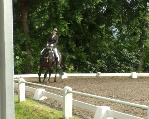 Reitturnier Eppelheim 2019