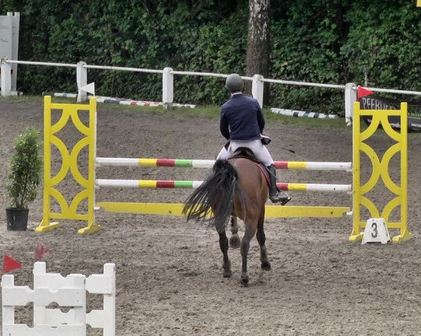 Reitturnier Eppelheim 2019