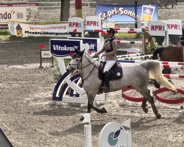 Reitturnier Eppelheim 2019