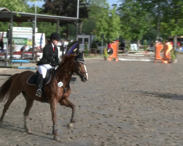 Reitturnier Ahlen 2019