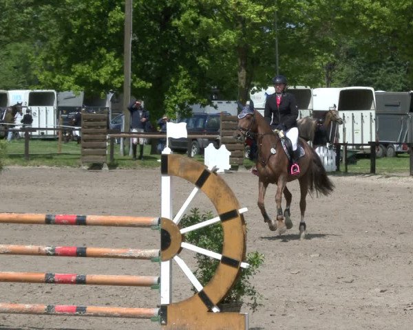 Reitturnier Ahlen 2019