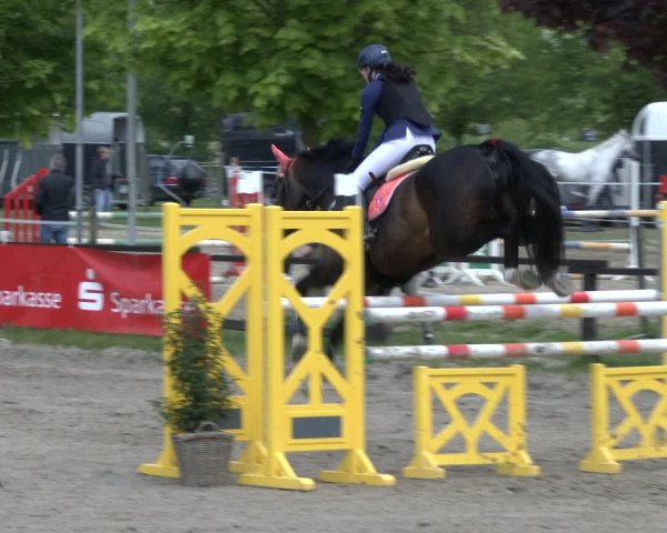 Reitturnier Ahlen 2019