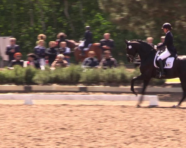 Reitturnier Dallgow 2019
