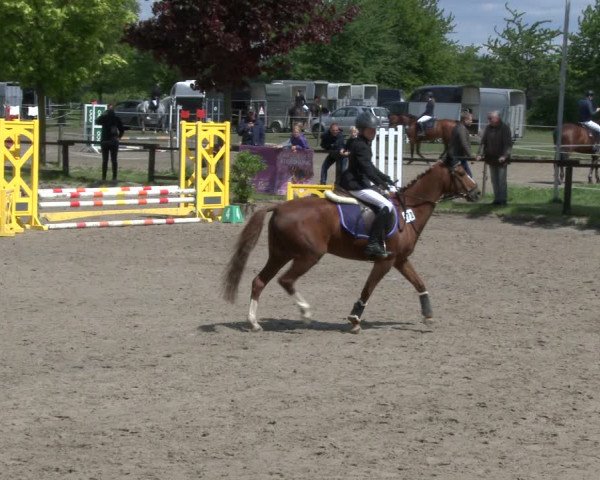 Reitturnier Ahlen 2019